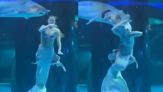 Mermaid Performer Attacked by Giant Fish During Show in Chinese Aquarium; Video Goes Viral