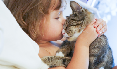 Beyond Dogs: Unveiling Loyalty Among Various Animals