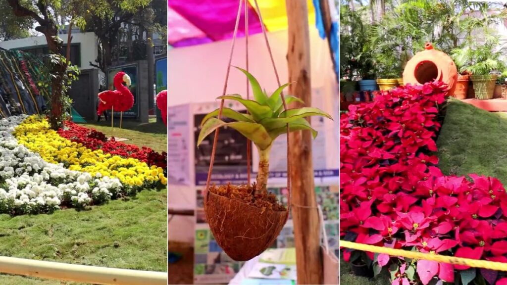 PMC’s Annual Flower Exhibition on Feb 15-16: A Nature Lover’s Delight