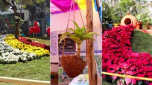 PMC’s Annual Flower Exhibition on Feb 15-16: A Nature Lover’s Delight