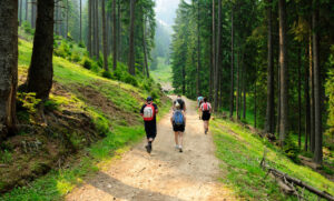 Escape the Heat: 8 Must-Visit Hill Stations in Maharashtra for Your Summer Getaway