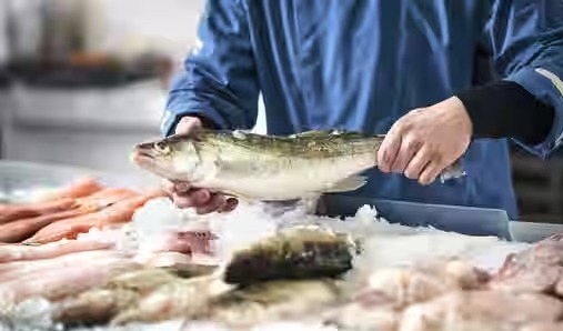 Pune’s Meat and Seafood Declared Safe Amid Guillain-Barré Syndrome Concerns: PMC