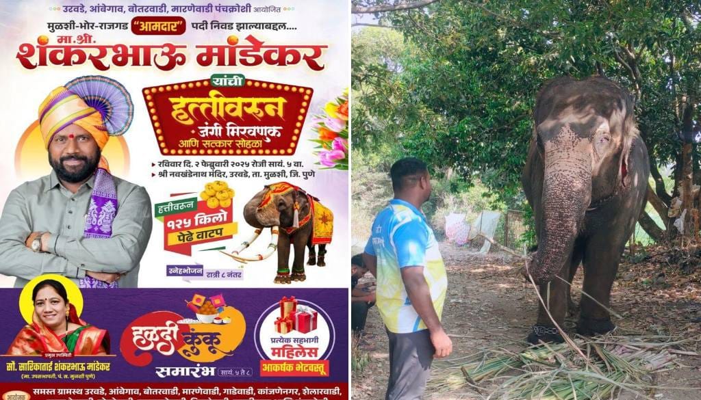 Pune News: Elephant Procession Lands Organizers In Legal Trouble, Case Filed Against Two People 
