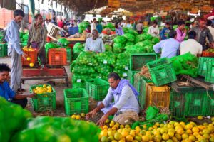 Maharashtra To Establish Three Fruit Export Clusters For Bananas, Cashews, And Oranges