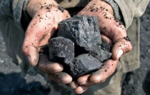 Pune Forest Officials Seize Illegal Charcoal; Special Patrolling Drive Launched