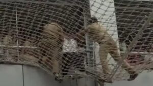 Man Jumps Off Mantralaya Building in Mumbai, Lands on Safety Net | Video Goes Viral