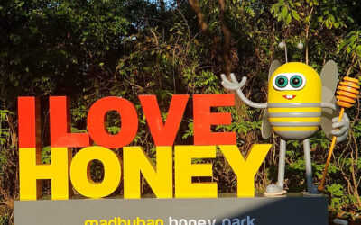 Maharashtra’s First Honey Park in Mahabaleshwar: A Groundbreaking Initiative for Honey Production, Education, and Rural Empowerment  
