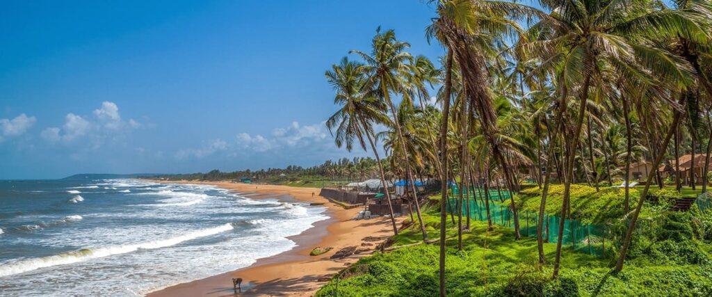 goa