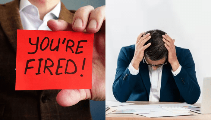 Tech Industry Faces Fresh Wave of Layoffs in January 2025: Google, Microsoft, Meta Among Companies Cutting Jobs