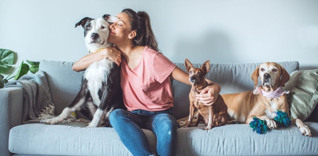 PMC Conducts Survey to Track Households with More Than Five Pets