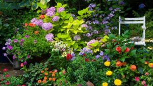 10 Flowers to Grow Now for a Vibrant Summer Garden