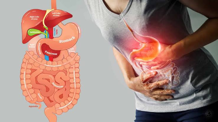 10 Must-adapt Habits to Improve digestion Post dinner