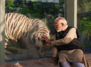 PM Narendra Modi Visits Vantara, Plays With Rescued Animals At Gujarat's Wildlife Shelter
