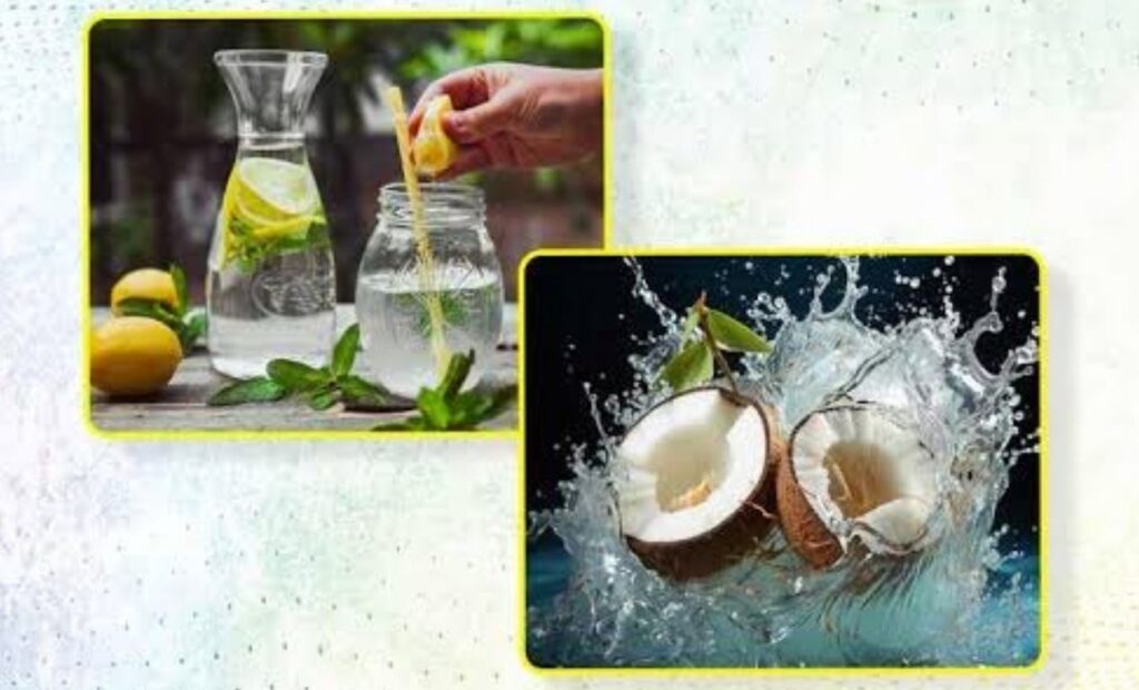 Lemon Water vs Coconut Water: Pros, Cons, and What’s Best for You