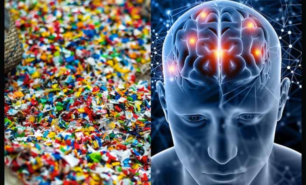 Microplastics In Brain Linked To Increased Dementia Risk: Study