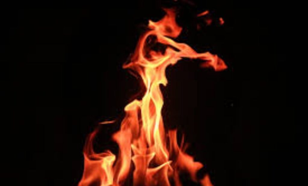 Pune: Massive Fire Breaks Out At Furniture Warehouse In Dhayari; Machinery And Vehicles Damaged
