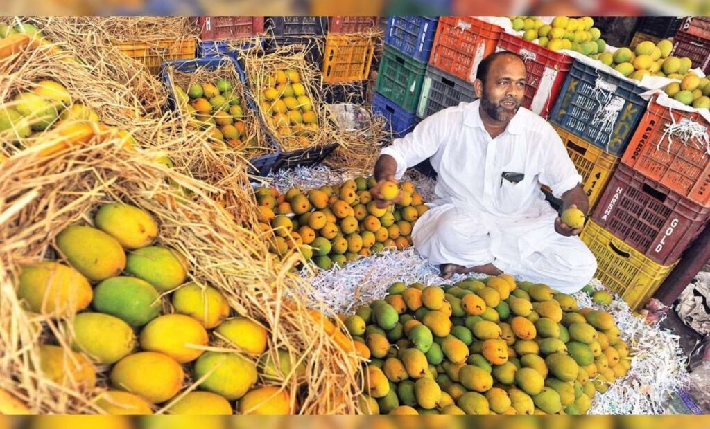 Decline in Mango Supply Triggers Price Surge in Pune; Hapus Mangoes Cost Up to Rs 1,500 Per Dozen