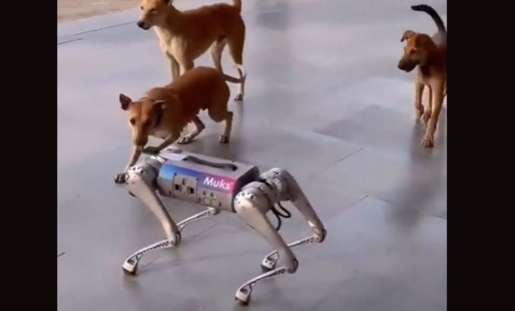 IIT Kanpur's Robot Dog Stuns Stray Dogs in Viral Video
