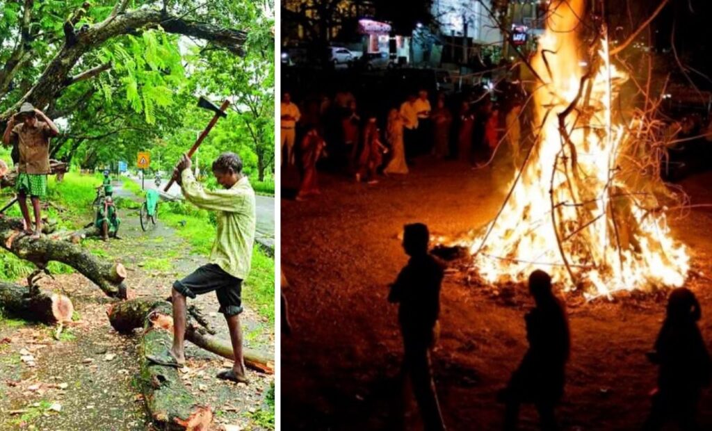 Pune: PMC Warns Against Illegal Tree Cutting Ahead Of Holi Celebrations