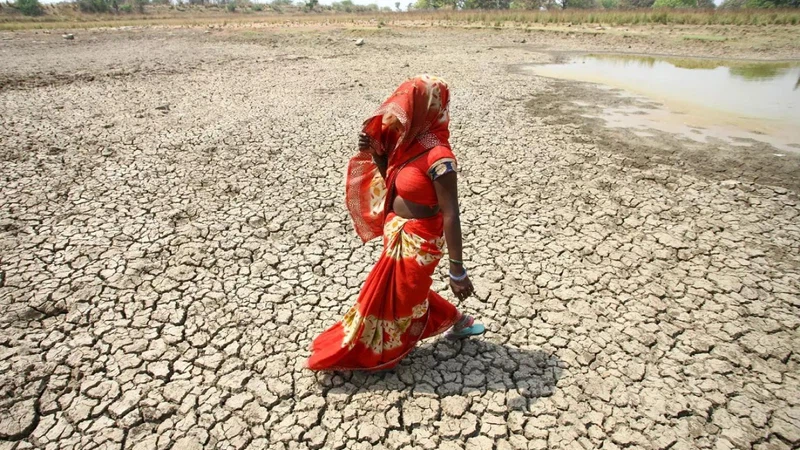 IMD Issues Warning of 'Double Heatwave' from March to May 2025