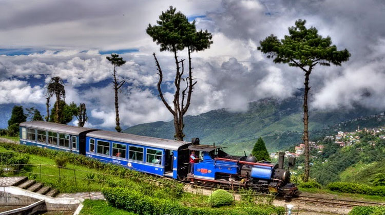 OOTY-1557144864