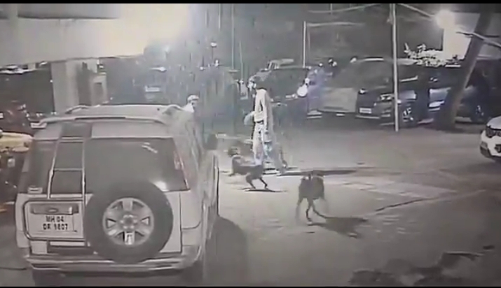 Watch Video: Watchman Brutally Assaulted in Andheri After Defending Himself from Stray Dogs