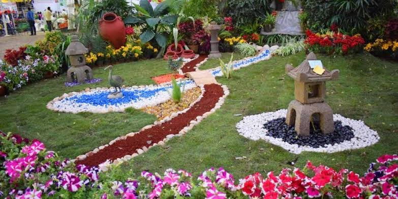 Survey at Pune’s Empress Garden Reveals Fascinating Insect Life