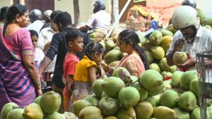 Rising Temperatures Push Tender Coconut Prices Up In Pune, Residents Feel The Pinch 
