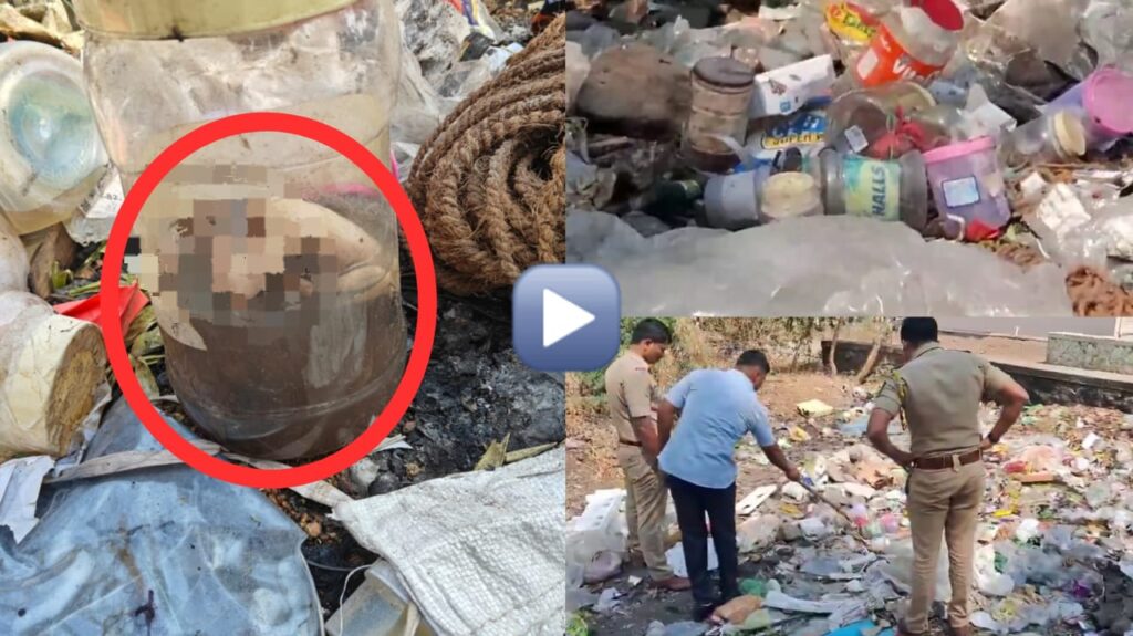 Pune News: Newborns Found Dumped in Garbage in Daund; Police Suspect Illegal Abortion Racket