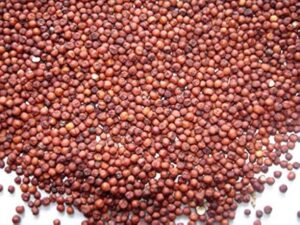 5 Healthy and Tasty Ways to Add Ragi Flour into Your Child’s Diet