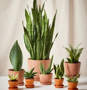 8 Low-Maintenance Crops That Keep Growing Year After Year