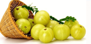 Amla-or-Indian-Gooseberry