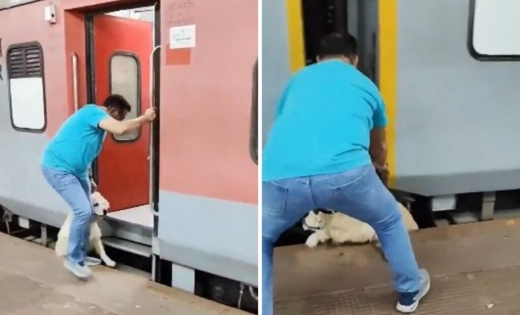 Viral Video Sparks Outrage Over Pet Safety Negligence at Train Station