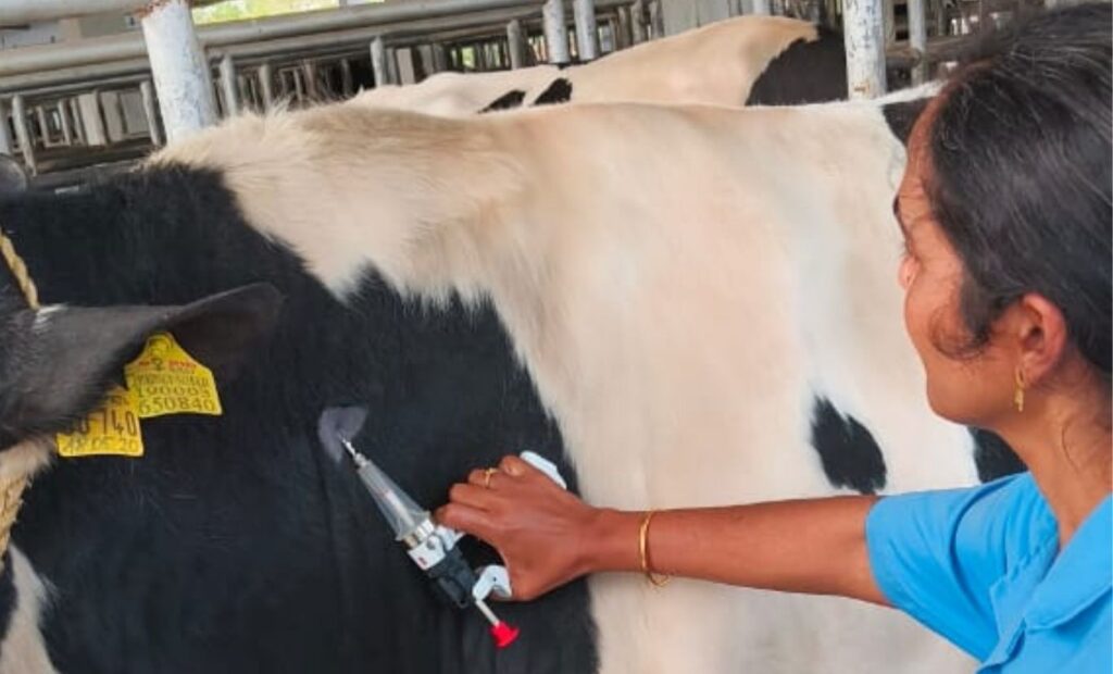 Pune To Get State-of-the-Art Lab For Fast Diagnosis Of Animal-Borne Diseases