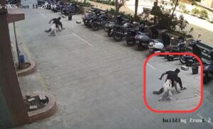 Stray Dog Attacks Man at Housing Society Gate in Pune, Incident Caught on Camera