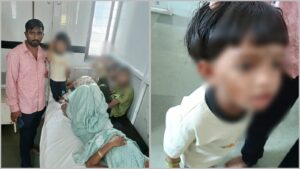 Tourists Attacked By Swarm Of Bees At Shivneri Fort; Prompt Rescue Operation Averts Major Crisis
