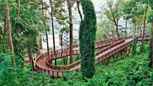 Mumbai Tourism Update: Explore Malabar Hill’s New Nature Trail – Booking Process, Timings & Entry Charges | Video