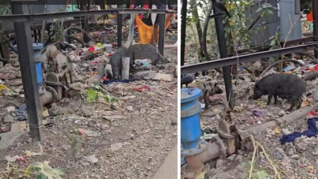 Pune Parge Nagar Resident Requests Urgent Action From PMC To Fix Jyoti Chowk Valve And Ensure Clean Drinking Water For Kondhwa Societies