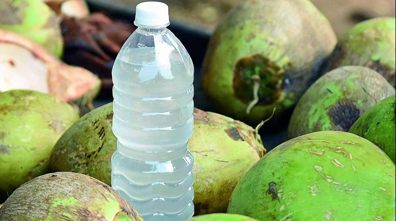 Spoiled Coconut Water