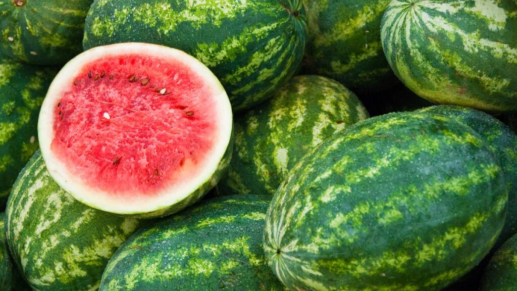 1,100 kg of Adulterated Watermelons Seized: 10 Essential Tips to Buy Safe, Juicy Melons