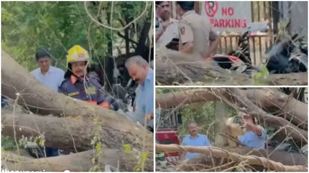 Pune: Tree Collapses Near Garware College, Injures Citizens and Damages Vehicles