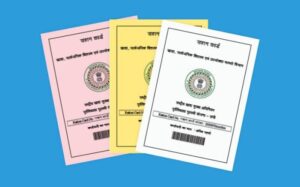 Ration Card Holders Must Submit Proof of Residence by May 31 or Risk Cancellation, Says Government
