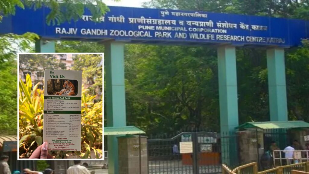 zoo