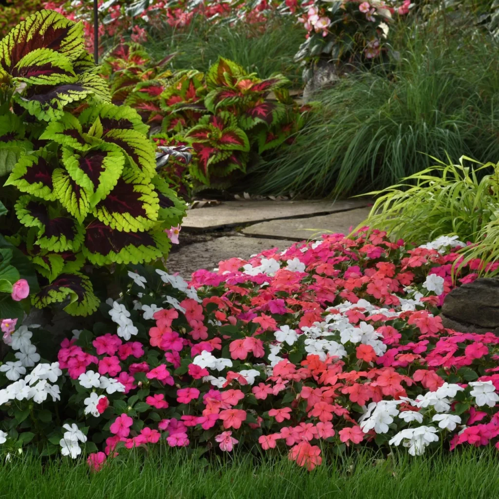 Turn Shady Spaces into Blooming Oases with These Low-Light Garden Favorites