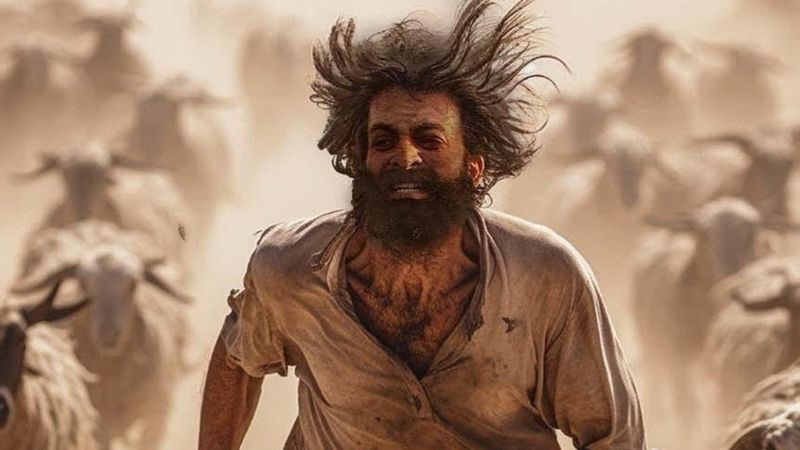 South Cinema's Finest: 7 Must-Watch Thrillers & Dramas on Netflix That Will Leave You Spellbound