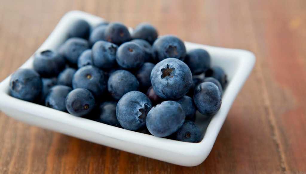 Blueberries The Tiny Superfood Offering Big Health Benefits