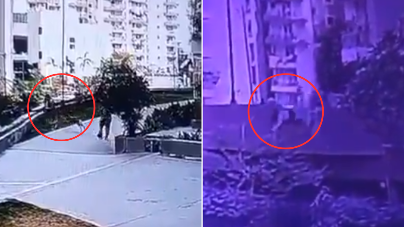 Captured on CamWoman Falls from 20 Feet While Escaping Pet Dog Attack