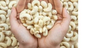 Cashew Nuts and Diabetes What Happens to Your Blood Sugar After Eating a Small Bowl