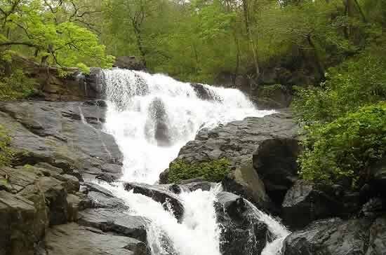 Chinchoti_Tungareshwar_Waterfall