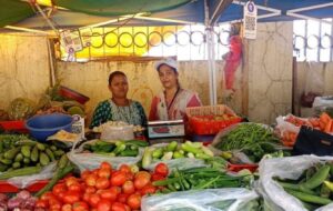 Pune News: Citizen Survey under PCMC@50 Initiative Kicks Off Across City